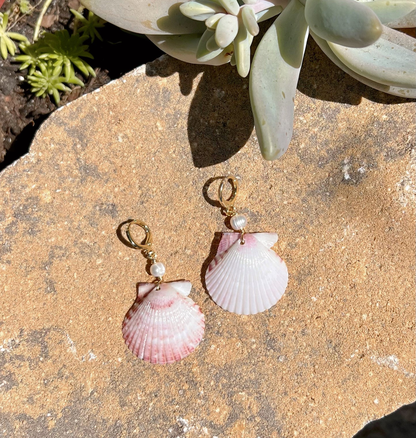 Scallop Shell Earrings