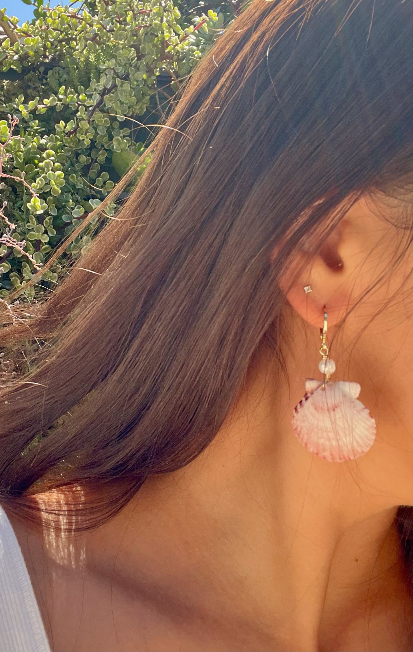 Scallop Shell Earrings