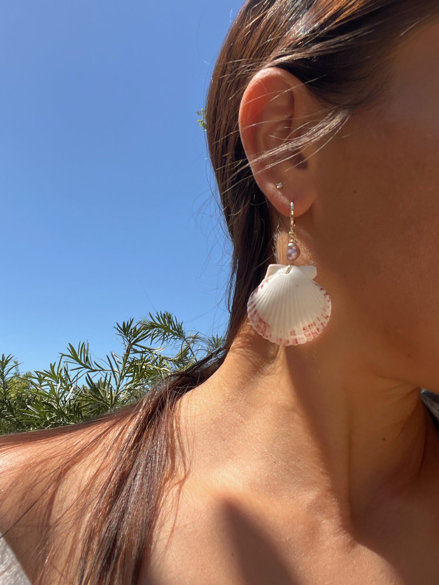 Scallop Shell Earrings