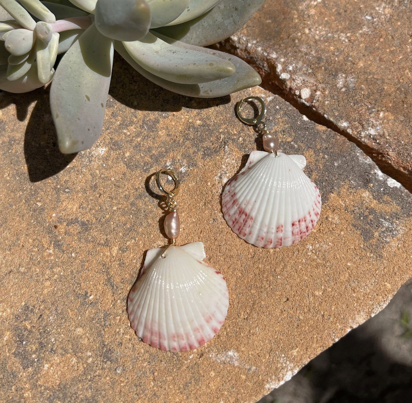 Scallop Shell Earrings