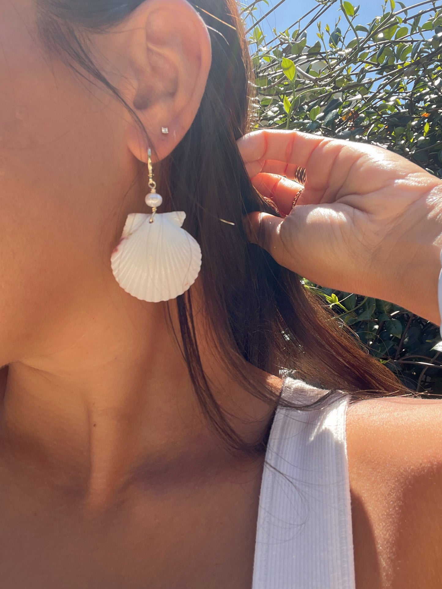 Scallop Shell Earrings