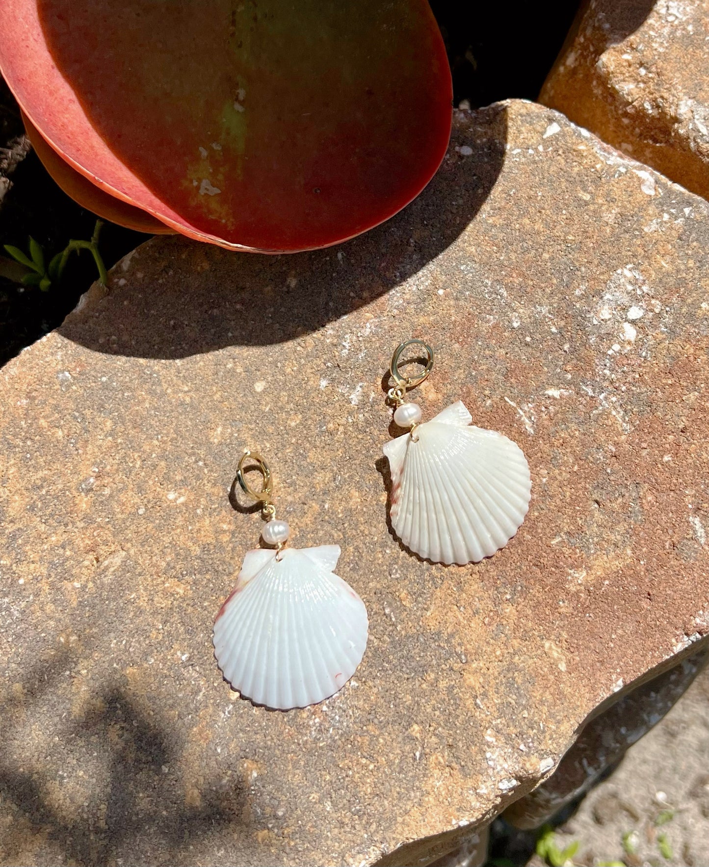 Scallop Shell Earrings