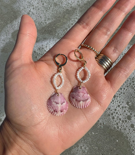 Florida Scallop Shell Earrings