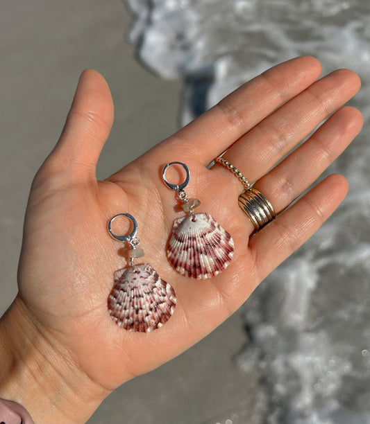 Florida Scallop Shell Earrings