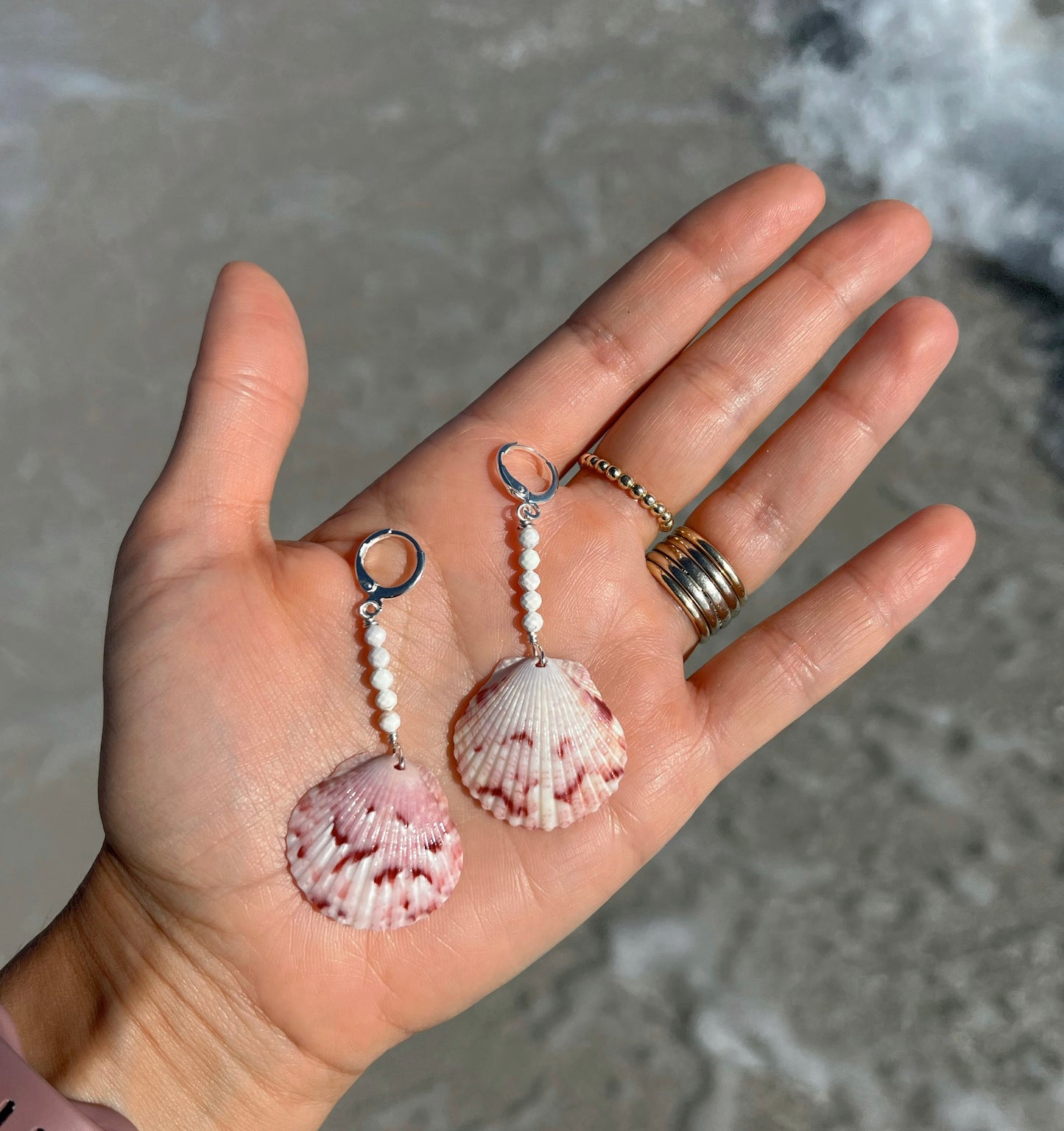 Florida Scallop Shell Earrings